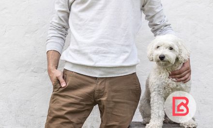 Consejos para ser buen vecino con mascotas